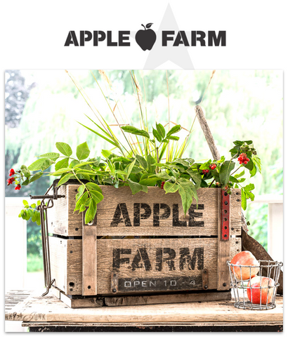 FJ003 Funky Junk's Apple Farm