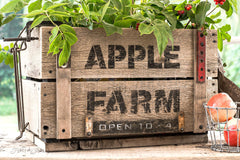 Create this charming DIY crate themed with Apple Farm for fall! Made with Funky Junk's Old Sign Stencils