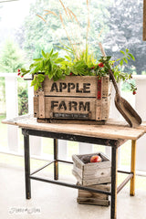 Stencil a charming rustic Apple Farm crate with a stencil by Funky Junk's Old Sign Stencils!