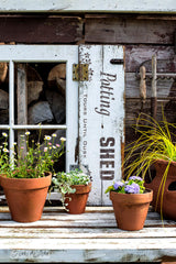 Potting Shed shutters on a shed with Funky Junk's Old Sign Stencils. Paint professional looking vintage farmhouse styled garden signs onto reclaimed wood with a stencil in minutes!