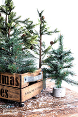 Christmas Trees stencil | Funky Junk's Old Sign Stencils