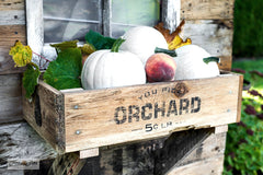 Make a sweet rustic fall window box using scrap wood and You Pick Orchard from Funky Junk's Old Sign Stencils! Click to stencil and to view tutorial link!
